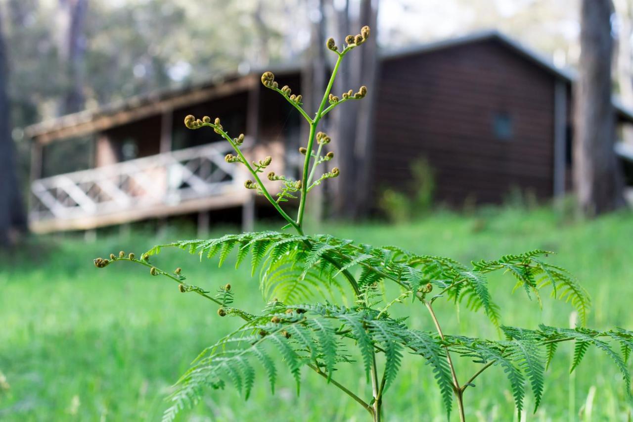 Che Sara Sara Chalets Walpole Exterior photo